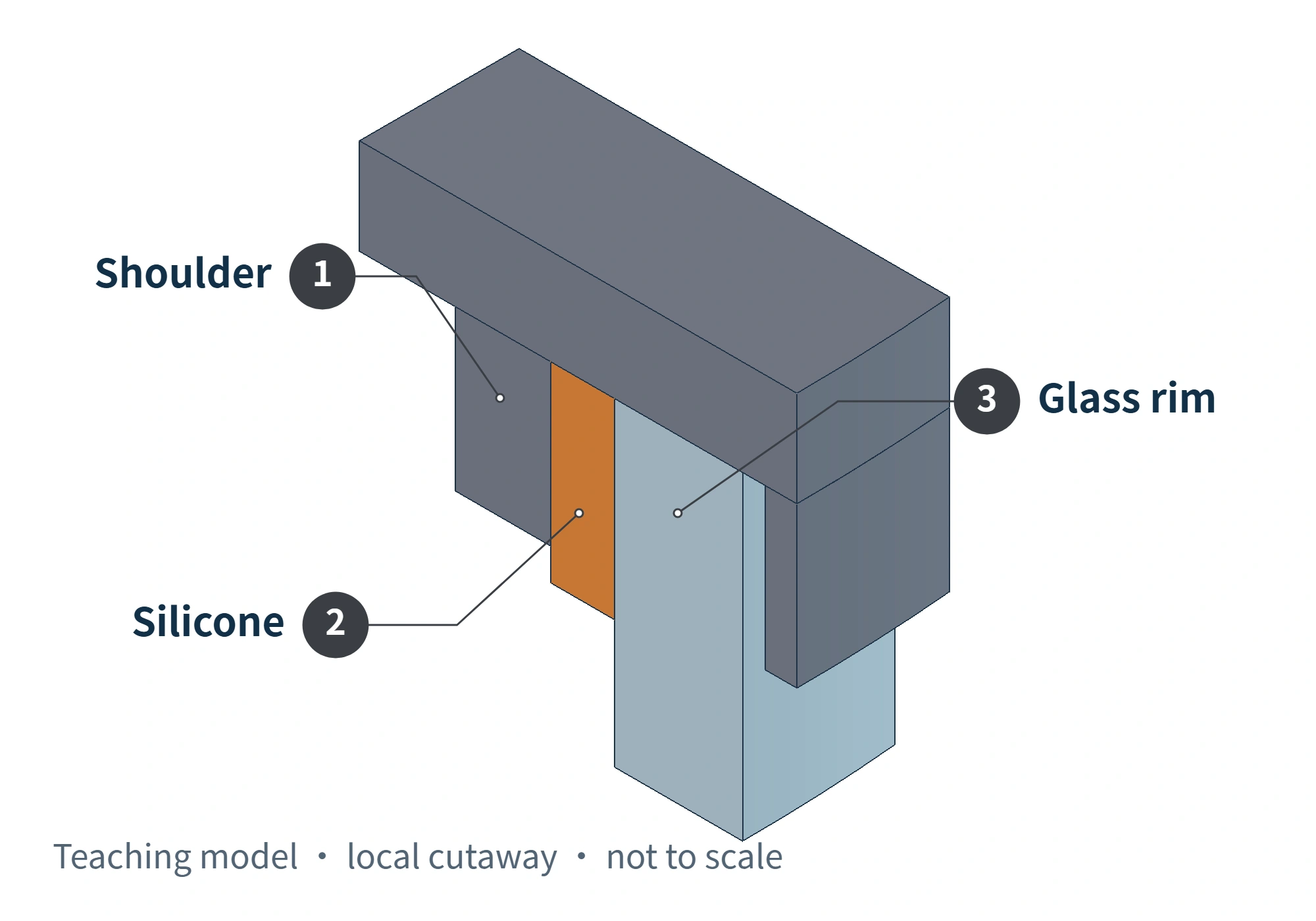 Teaching cutaway showing the positions of the metal internal shoulder, silicone component and glass jar opening