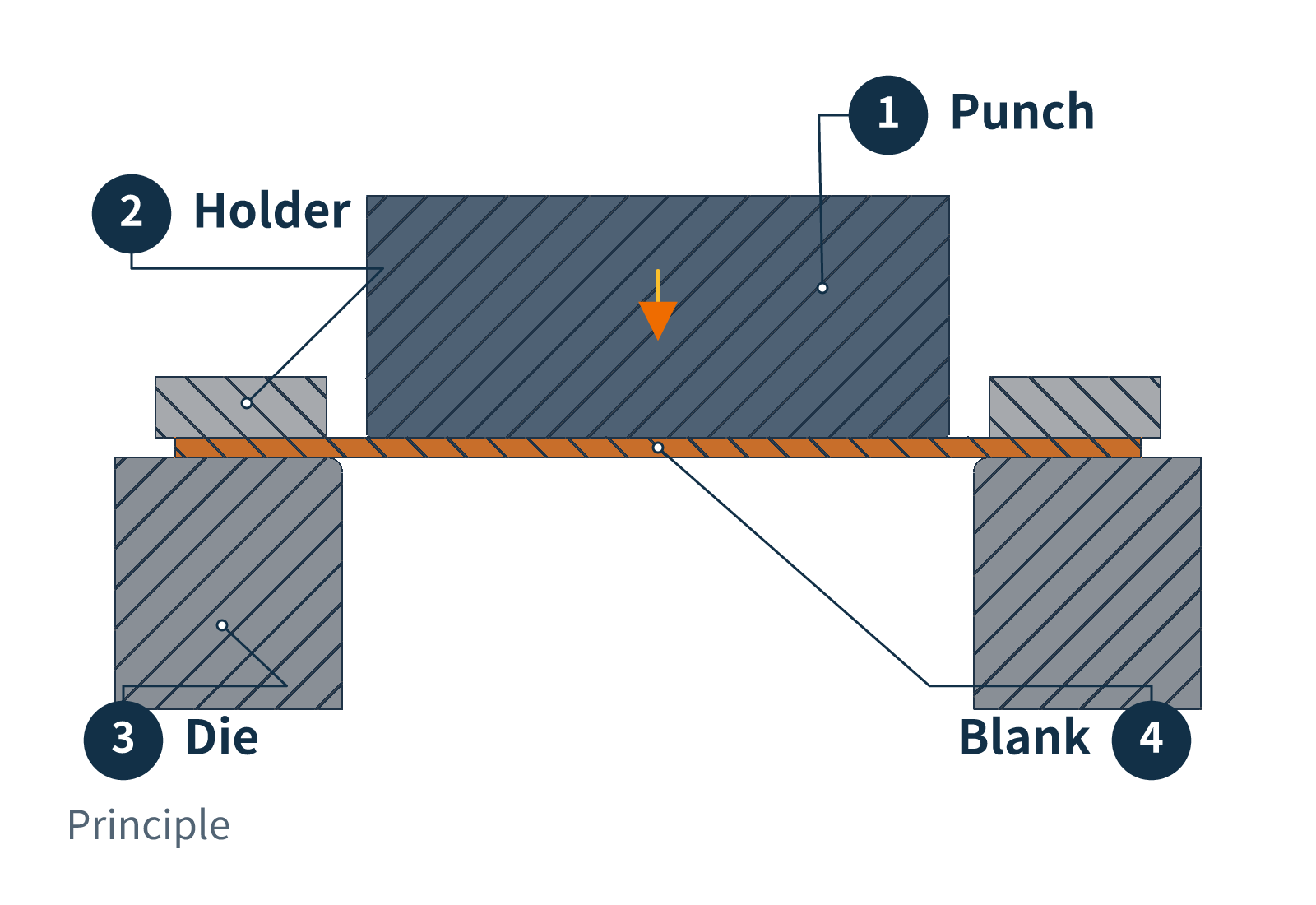 Shallow-shell deep drawing animation showing the punch moving down while surrounding sheet feeds into the die and forms sidewalls