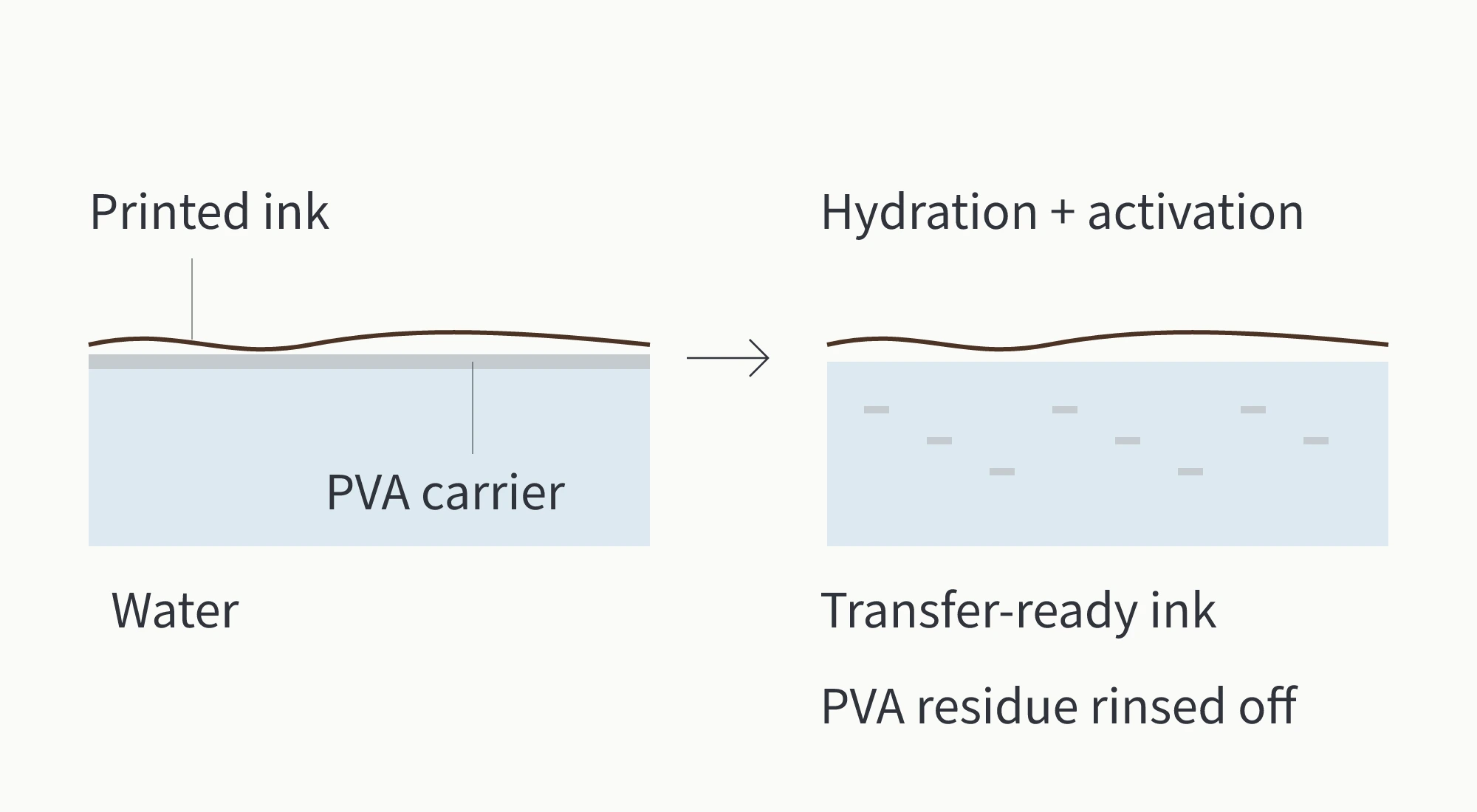 How the PVA carrier hydrates and the printed ink is activated for water transfer printing